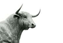 eToro launches 4% stock rewards on UK debit card