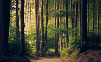 Risilience unveils powerful ESG risk analytics suite