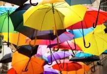 Mylo and UENI partner to support small business growth Mylo, a digital insurance broker focused on small businesses, has formed a strategic partnership with UENI, a platform that builds websites and provides digital marketing services, to offer integrated support to small business owners looking to scale and protect their operations.