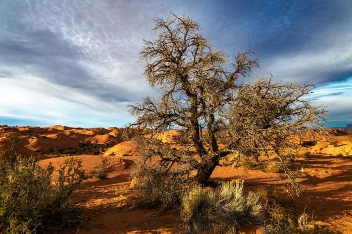 Cyber insurance startup Baobab, a Germany-based InsurTech firm specialising in AI-driven cyber protection, has raised €12m in a Series A funding round aimed at expanding its operations across Europe. Cyber insurance startup Baobab, a Germany-based InsurTech firm specialising in AI-driven cyber protection, has raised €12m in a Series A funding round aimed at expanding its operations across Europe.