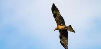 FX FinTech Glyde raises £450k to reshape global transfers FX FinTech Glyde raises £450k to reshape global transfers