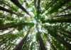 ESG onboarding strengthened by KYC Portal CLM