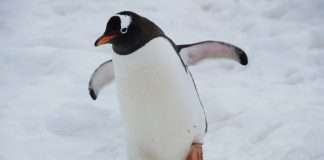 Mobile-first FinTech Wave raises €117m for Africa Mobile-first FinTech Wave raises €117m for Africa