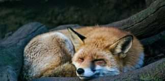 InsurTech wefox secures €151m to boost MGA expansion InsurTech wefox secures €151m to boost MGA expansion