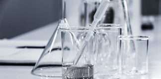 FinTech Gradient Labs raises $13m to expand AI platform