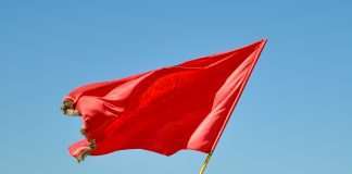 Red flags, real risk: Smarter AML tools in action