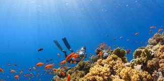 Ecommpay and ekko bring climate action to checkout Ecommpay and ekko bring climate action to checkout