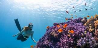 New global tool launched for biodiversity risk insight New global tool launched for biodiversity risk insight