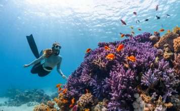 New global tool launched for biodiversity risk insight