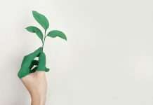 Can RegTech unify ESG and privacy into one framework? ESG