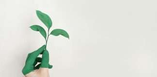 Can RegTech unify ESG and privacy into one framework? ESG