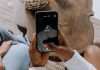 TikTok has partnered with Visa, the global payments technology company, to support the growth of small and medium-sized businesses (SMBs) in the United Arab Emirates (UAE).