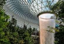 Singapore banks warn of nature loss impact on lending Singapore