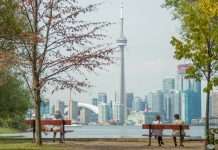 RBC backs d1g1t to transform wealth tech experience