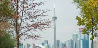 RBC backs d1g1t to transform WealthTech experience RBC backs d1g1t to transform wealth tech experience