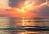Navigating IRS form updates and sunset periods