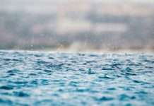 Rain raises $58m to scale enterprise stablecoin platform