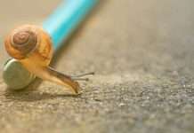 Asset managers push automation as legacy systems drag