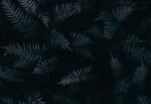 Corpay partners with New Zealand Football as official FX provider Corpay, a global leader in corporate payments, and New Zealand Football have announced a strategic partnership designating Corpay as New Zealand Football’s Official Foreign Exchange (FX) Partner.