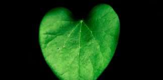 Paris-based Goodvest bags €12m funding for sustainable investing