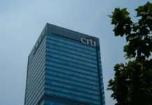 Citi teams up with Dandelion to enhance global digital payouts Citi