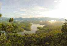 Rainforest raises $29m Series B for embedded payments Rainforest raises $29m Series B for embedded payments