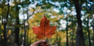 Canadian pension firm Common Wealth secures $29.9m funding Canadian pension firm Common Wealth secures $29.9m funding