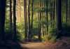 LSEG report highlights global carbon intensity trends