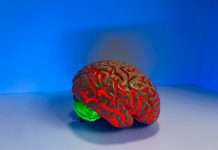 Allianz UK, a leading general insurer in the UK and part of the global Allianz Group, has rolled out an artificial intelligence tool named BRIAN to support its commercial underwriting teams.