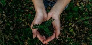 Why credible ESG data is critical in private credit ESG