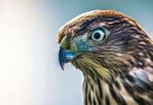 Payhawk expands AI finance orchestration with new release Payhawk, a finance orchestration and spend management platform, has launched its Fall ’25 Product Edition, expanding its AI Office of the CFO stack.