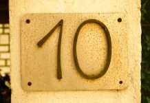 Napier AI marks 10 years in AML innovation Napier AI marks 10 years in AML innovation