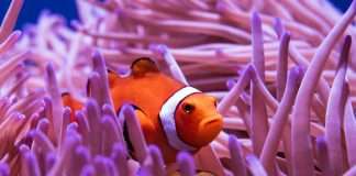 Climate inaction threatens Australia’s pensions