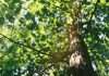 Building climate resilience in private asset investing Building climate resilience in private asset investing