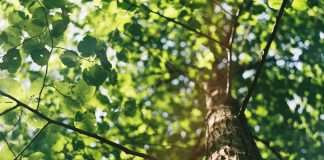 Building climate resilience in private asset investing