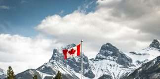 Ottawa unveils national anti-fraud strategy anti-fraud