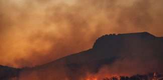 Global climate risks surge ahead of COP30