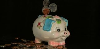 SavvyMoney secures $225m to drive FinTech growth SavvyMoney