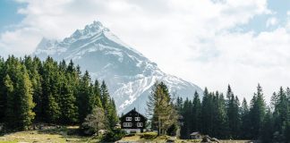 Zeidler widens MMR-Tool to include Swiss schemes