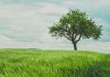 Net Purpose and SDI AOP unite to drive sustainable investing