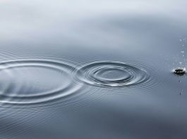 Ripple bags $500m funding, hits $40bn valuation milestone Ripple bags $500m funding, hits $40bn valuation milestone