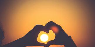 Love Finance appoints ex-Monzo leader to risk role