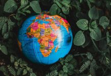 New $30m 3iF fund backs early-stage African InsurTechs FSD Africa, a Nairobi-based organisation focused on building inclusive and resilient financial markets across the continent, has announced plans for a new Inclusive InsurTech Investment Fund (3iF) valued at between $25m and $30m.