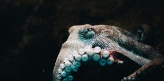 Kraken secures $800m to advance on-chain product roadmap Kraken secures $800m to advance on-chain product roadmap