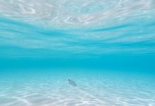 Permira and Warburg Pincus agree $8.4bn Clearwater deal