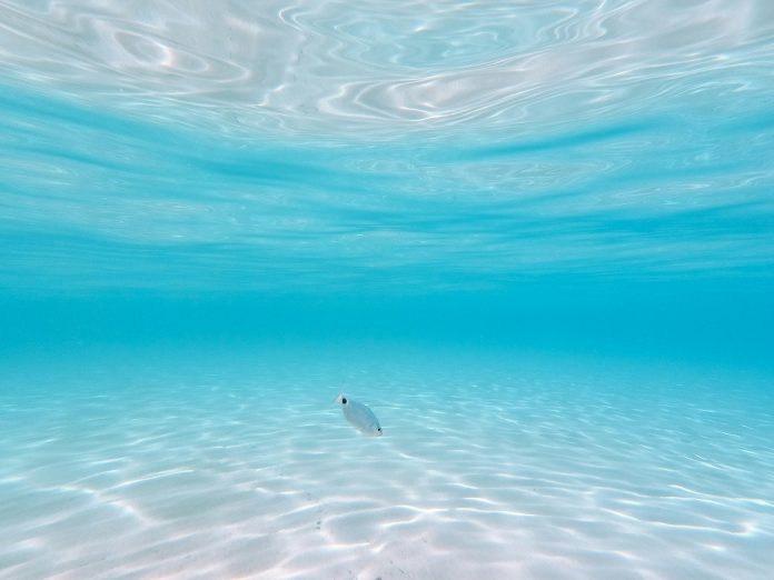 bibi-pace-JLOcPgkXCwo-unsplash