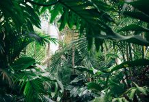 Urban Jungle partners with Prestige Underwriting to expand home cover Prestige Underwriting, a specialist managing general agent, and Urban Jungle, a UK-based InsurTech, have announced a new partnership to deliver non-standard home insurance through Urban Jungle’s online platform.