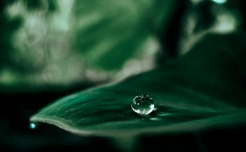 Raindrop pension-finding technology reunites £1bn in lost savings