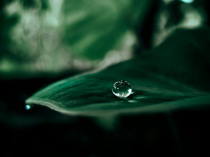 Raindrop pension-finding technology reunites £1bn in lost savings