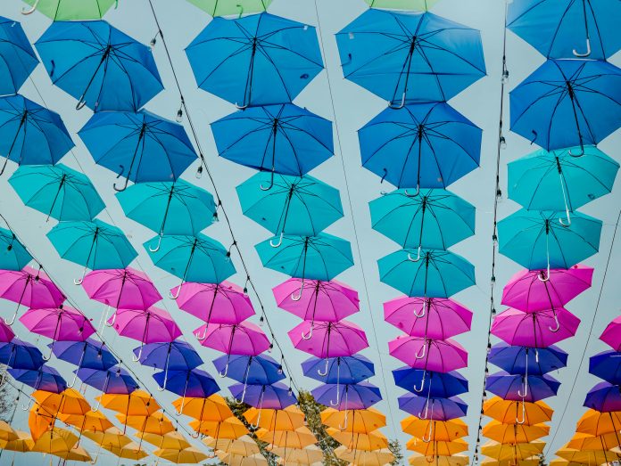 pexels-eden-fc-620771246-35134223